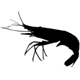 160x160 Shrimp Silhouette Vector Graphics Stock Image And Royalty Free