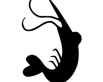 340x270 Shrimp Decal Etsy