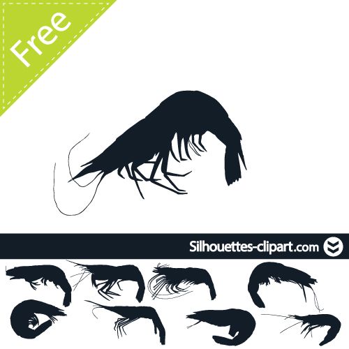 500x500 Shrimp Vector Silhouette Silhouettes Clipart Silhouettes