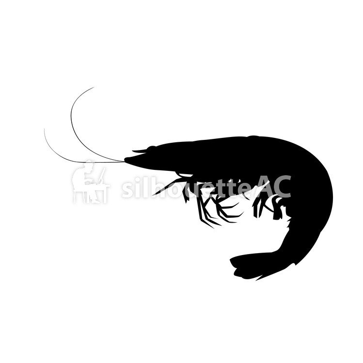 749x750 Free Silhouettes An Illustration, Shrimp