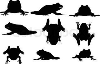 320x206 Frog Silhouette On White Background, Vector Illustration Stock