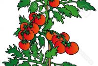 200x135 Hd Bushes And Trees Clip Art Vector Image