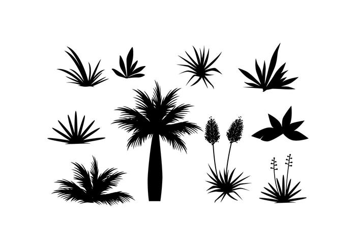 700x490 Bush Free Vector Art