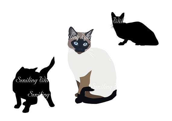 570x403 Siamese Cat Silhouette Vector Graphic Art Svg Siamkatze Png