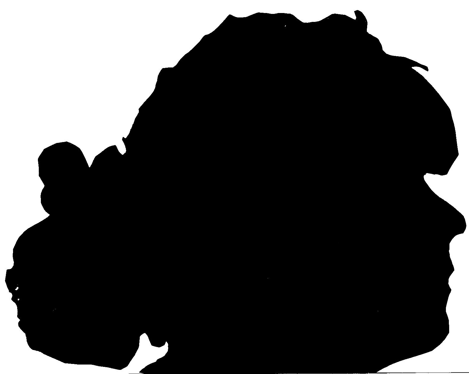 1584x1264 Playing With Shadows Silhouette Portraits And How To Make Them