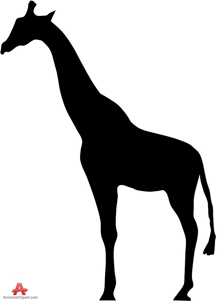 720x999 African Giraffe Silhouette