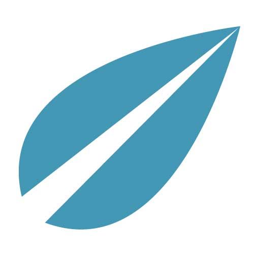 500x500 Silhouette America