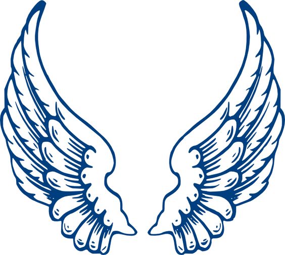 564x505 Without Wings Silhouette Free Clipart