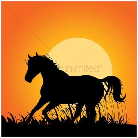 450x450 Free Animal Silhouette Stock Vectors Stockunlimited