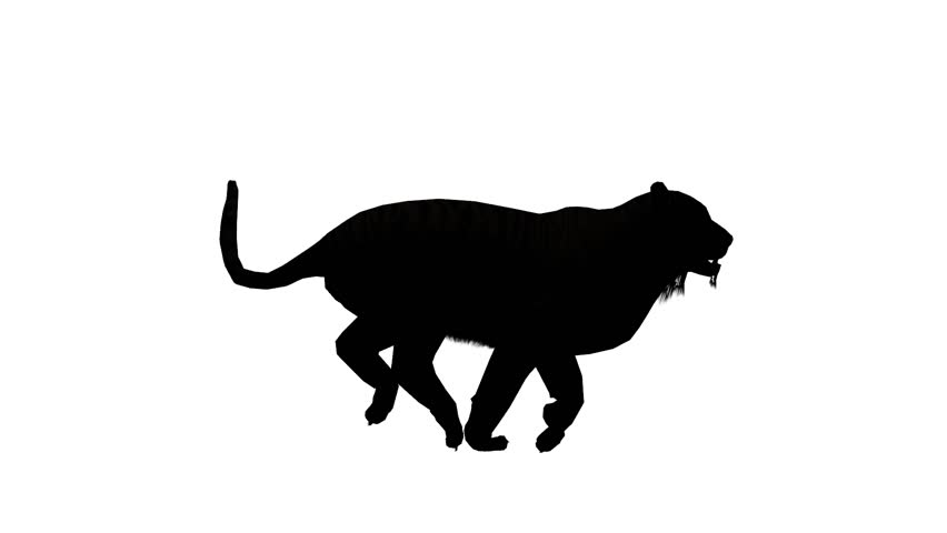 852x480 Tiger Open Mouth Roar Sketch Silhouette,wildlife Animals Habitat