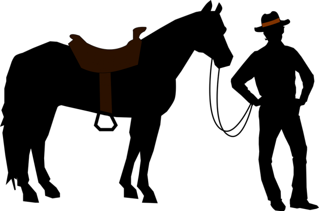 650x429 Cowboy Festival