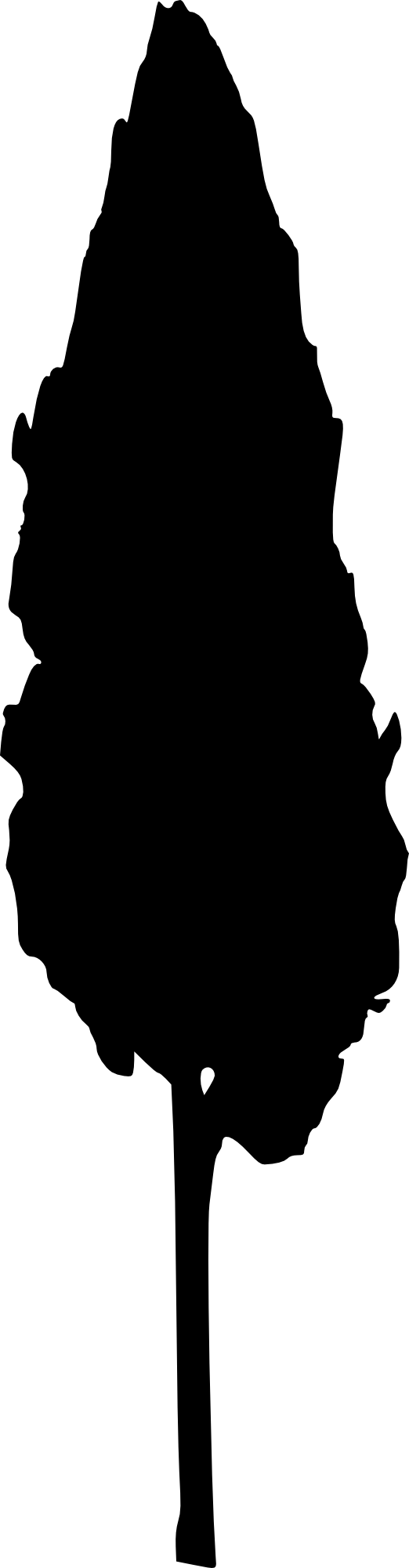 522x2000 45 Tree Silhouettes Png Transparent Background