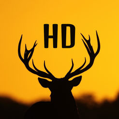 246x246 Silhouette Wallpapers Hd Best Backgrounds Ideas On The App Store