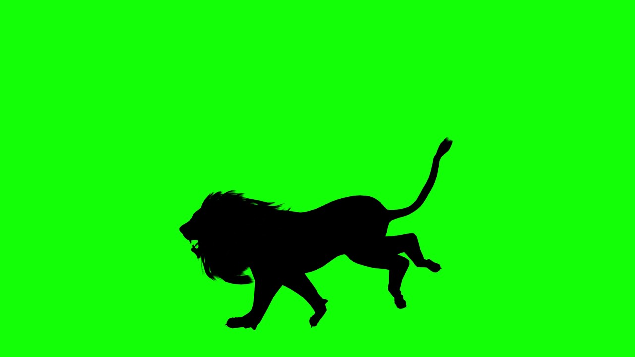 1280x720 Free Hd Video Backgrounds Animal Silhouette Lion Running