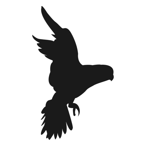 512x512 Bird Silhouette 2