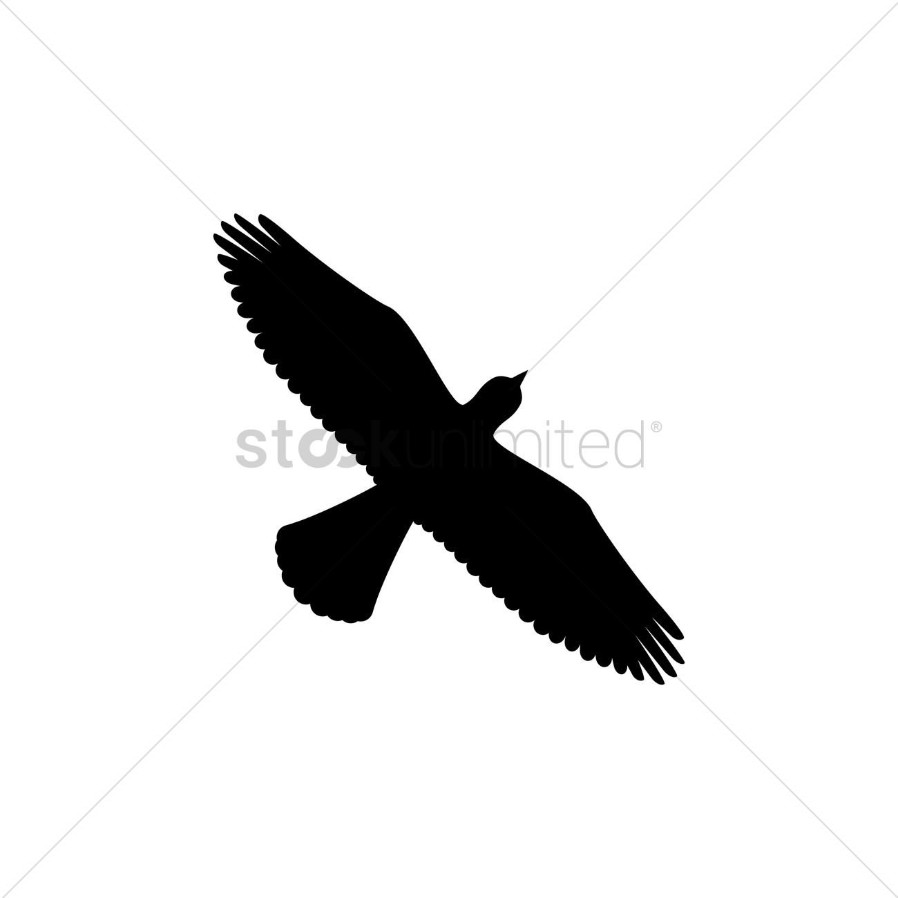 1300x1300 Top View Of Bird Silhouette Vector Image