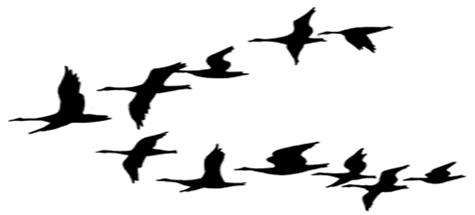 475x215 Flock Of Birds Clipart Bird Fly 3539161