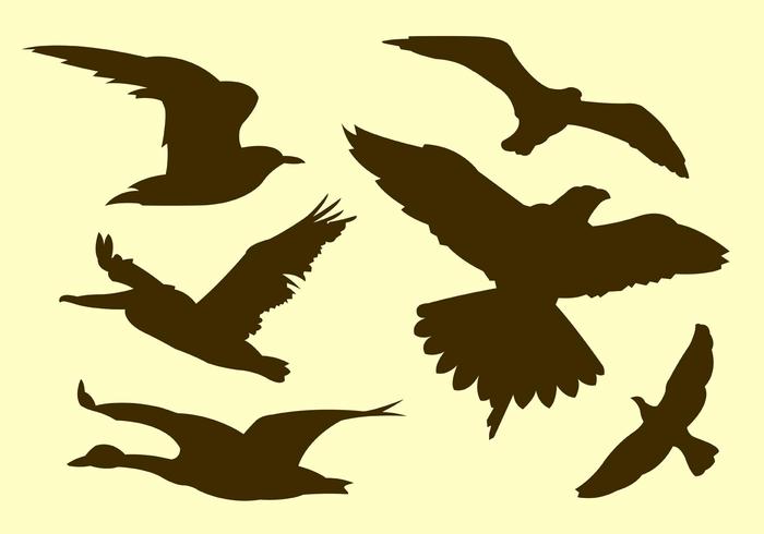 700x490 Flying Bird Silhouette Vector