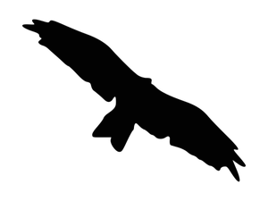300x225 8417 Flying Bird Silhouette Clip Art Free Public Domain Vectors