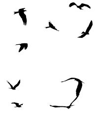 197x256 Bird Flight Inspiration Bird And Animal