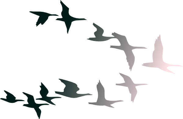 600x392 Flying Clipart Bird