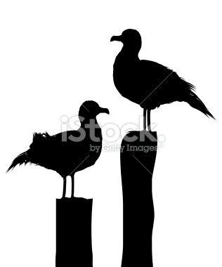 316x380 Silhouettes Of Two Sea Gulls Standing On Pier. Isolated Objects
