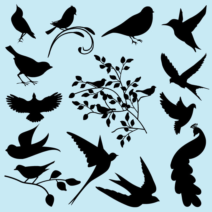 720x720 Bird Templates Use Spray Fabric Paint To Put These On Old Shorts