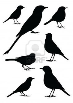 236x333 Black And White Pictures Of Birds Bird Clip Art