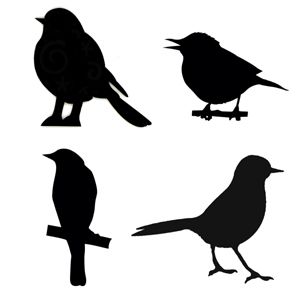 300x300 991 Best Silhouettes Bird Silhouettes Images