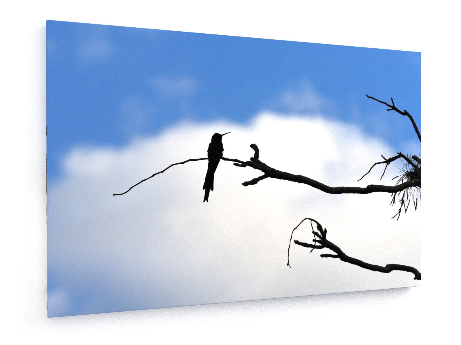 1600x1200 Hummingbird Silhouette