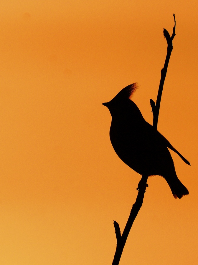 672x900 83 Best Photography