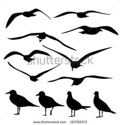 236x246 Seagulls Decorating Bird, Silhouettes And Stenciling