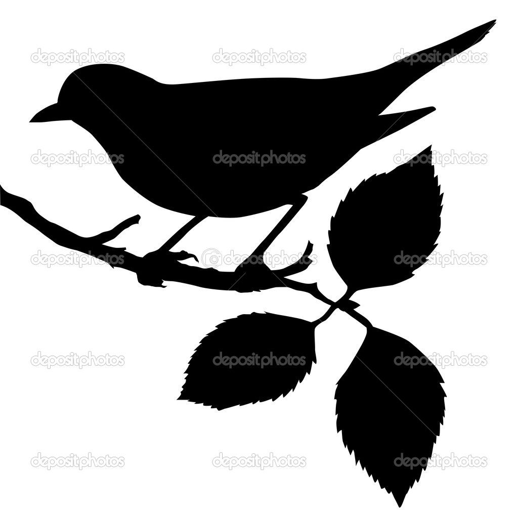 1024x1024 Silhouette Clipart Silhouette Of The Bird On Branch Stock