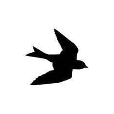 236x236 Silhouette Bird Flight By