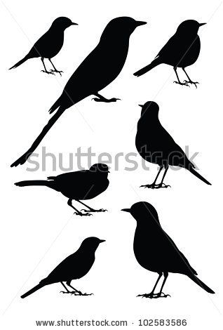 318x470 Birds Silhouette