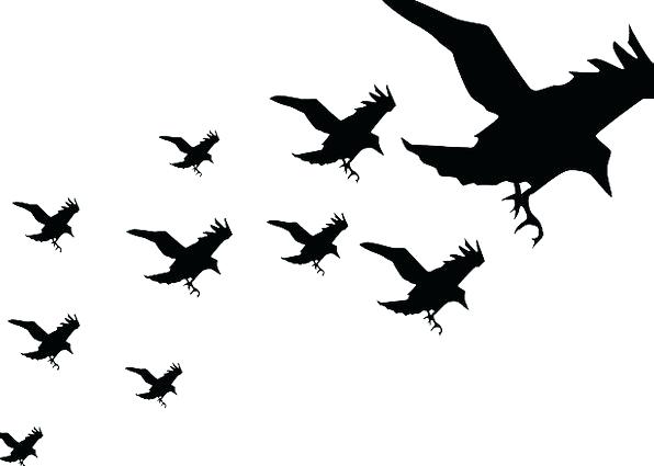 596x425 Cuckoos Birds Cuckoo Outline Coloring Pages Cuckoos Birds Cuckoo