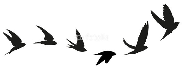 588x240 Swallow Silhouette Tattoo Designs