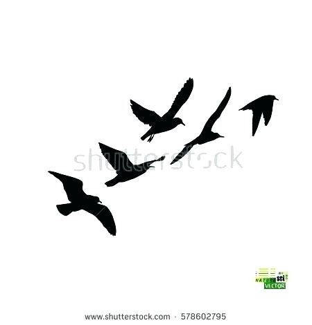 450x470 Dove Drawing Images At Free For Personal Use Dove Vector