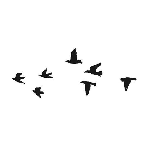 500x500 Flock Of Black Birds Temporary Tattoo (Set Of 2)amazonbeauty