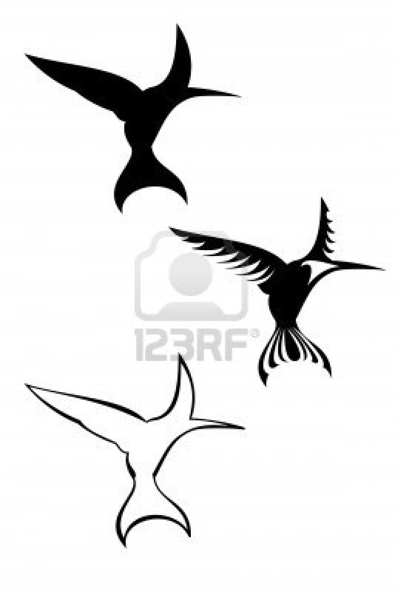 801x1200 Tattoos Of Humming Bird Tribal Humming Bird Tattoos
