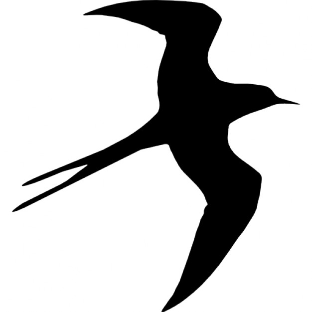 626x626 Swallow Bird Flying Silhouette Icons Free Download