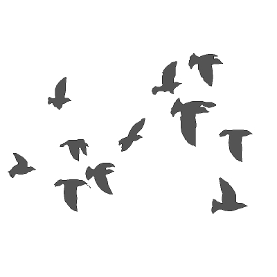 400x400 Bird Flocks 3d Model