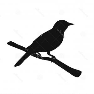 300x300 Photovector Silhouette Of The Birds On Branch Lazttweet