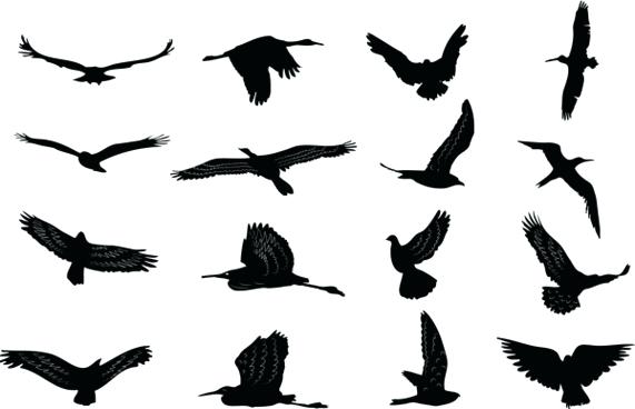 571x368 Bird Silhouette Free Vector Download Free Vector For Bird