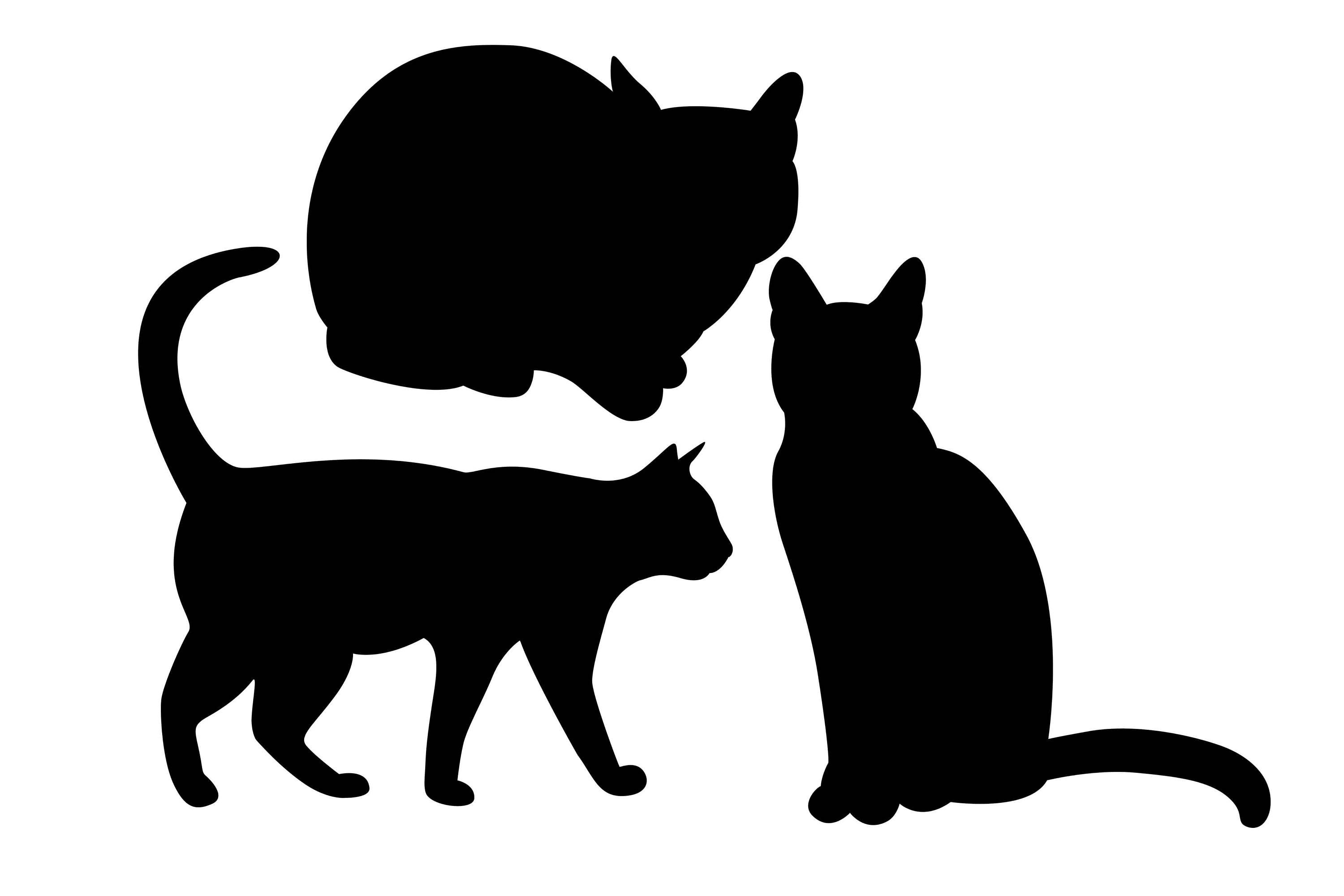 3000x2000 Cat Silhouette, Cat Clipart, Kitty Silhouette, Domestic Animal