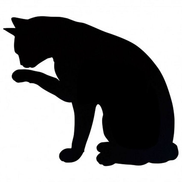 736x736 Black Cat Silouette Little Cute Black Cats