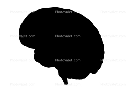 418x299 Brain Silhouette, Logo, Shape Images, Photography, Stock Pictures
