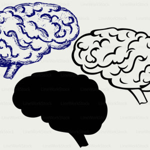 300x300 Brains Clip Art Etsy