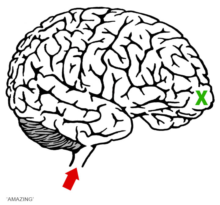 720x672 Maze Clipart Brain 3701023