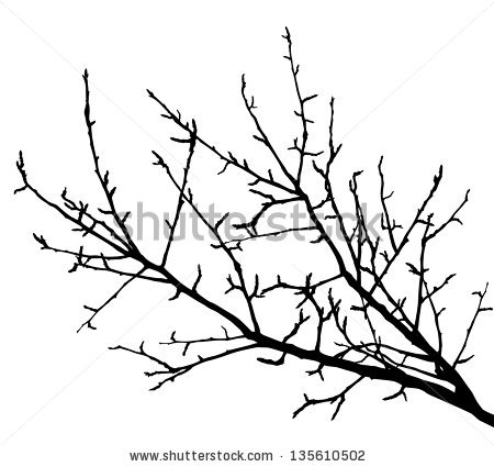450x425 Drawn Branch Tree Branch